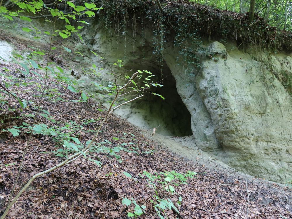 Höhle im Gehautobel