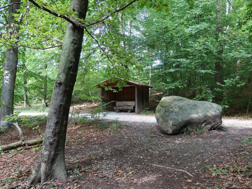 Schutzhütte im Weiherholz