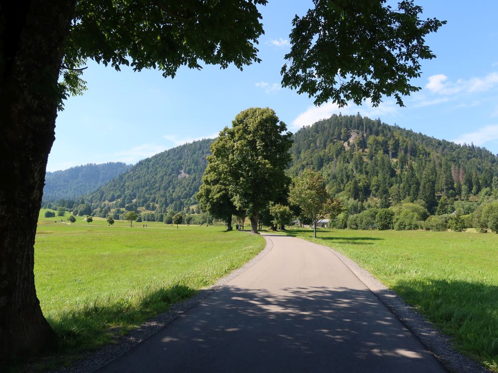 Hinterdorfstrasse