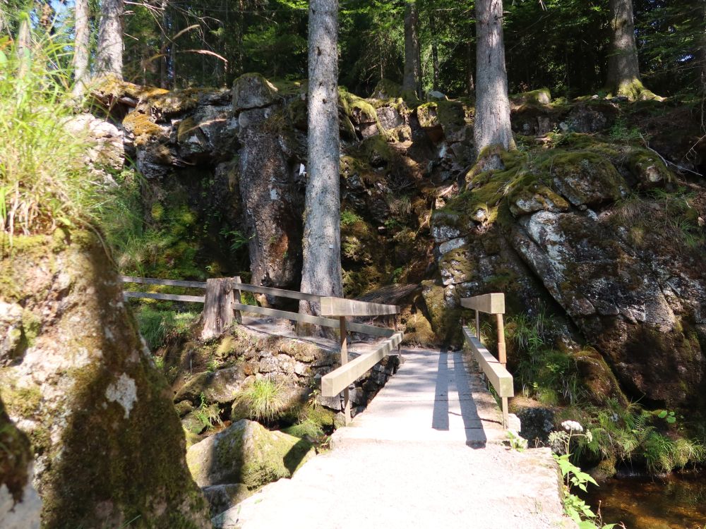Steg bei den Wasserfällen