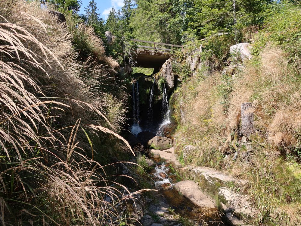 Menzenschwander Wasserfälle
