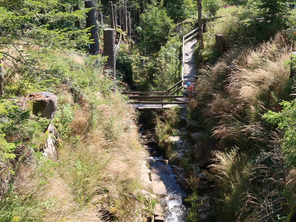 Steg bei den Wasserfällen