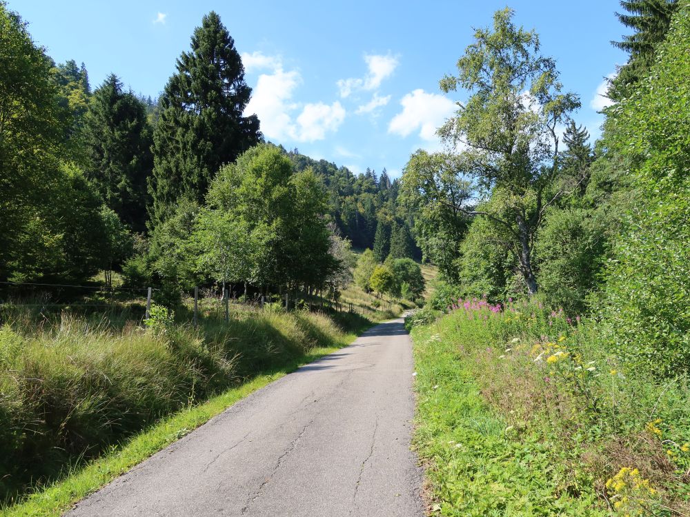 Wirtschaftsweg