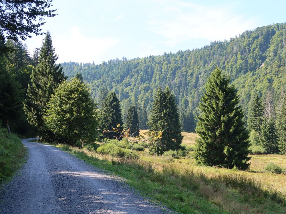Wag am Klusenwald