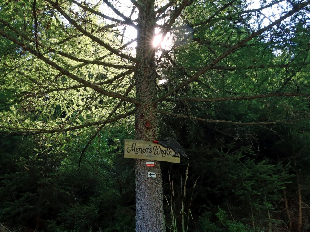 Wegweiser