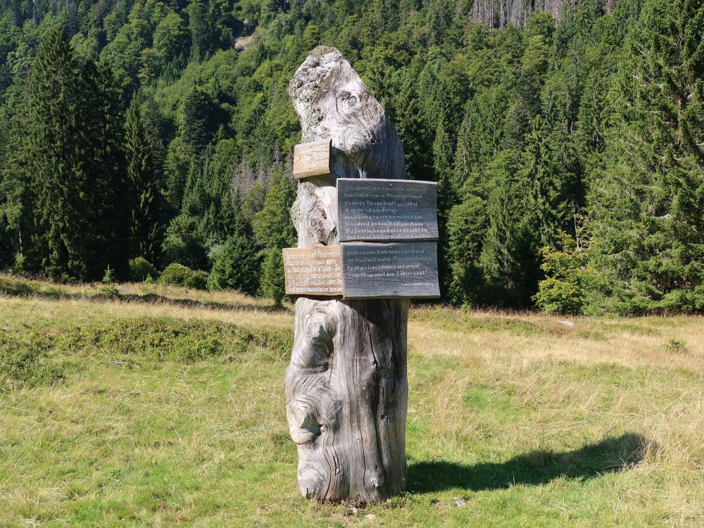 Infotafeln