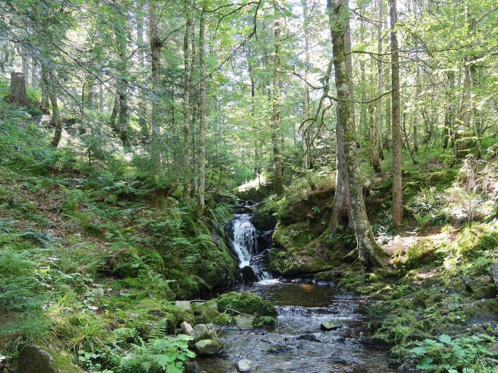 Wasserfall am Maria Loch