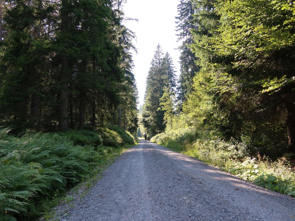 Waldweg
