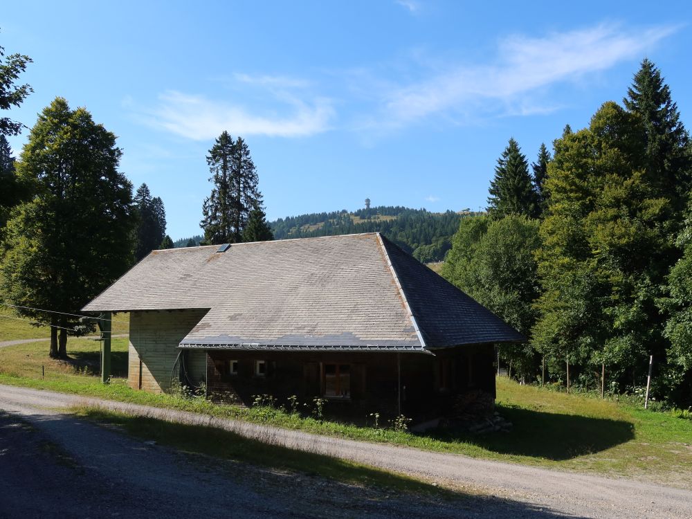 Liftstation und Feldberg am Horizont