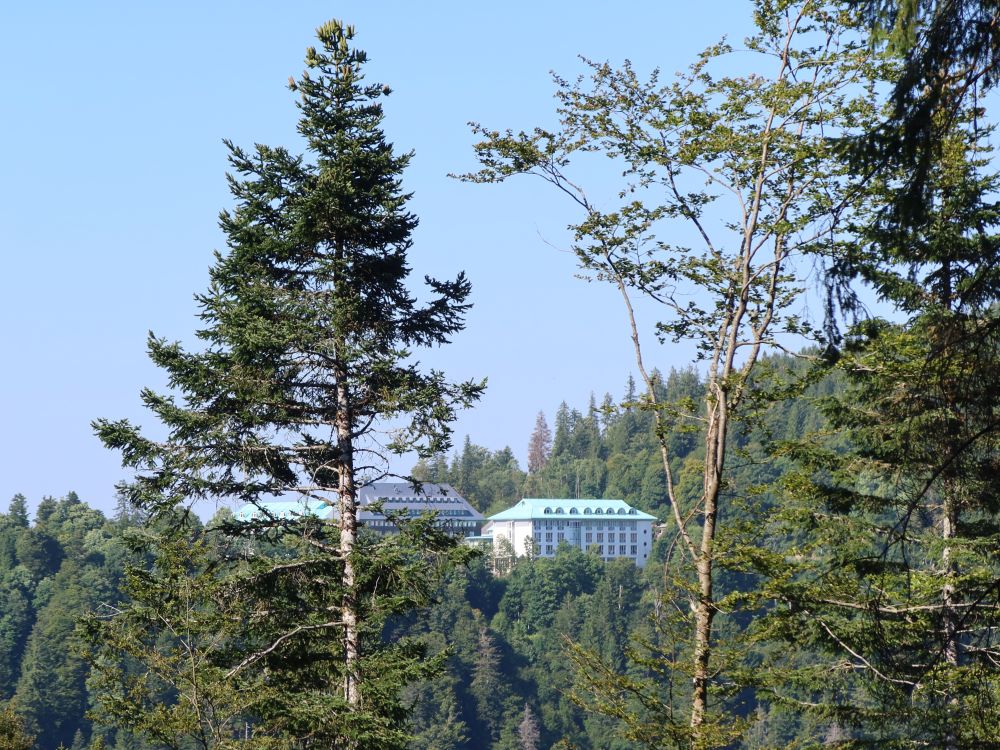 Caritas-Haus Feldberg