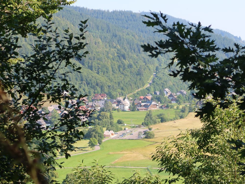 Blick auf Menzenschwand Hinterdorf