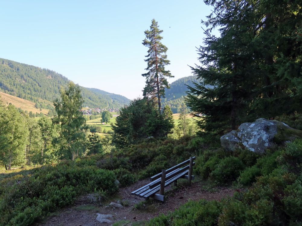 Sitzbank mit Blick Richtung Menzenschwand
