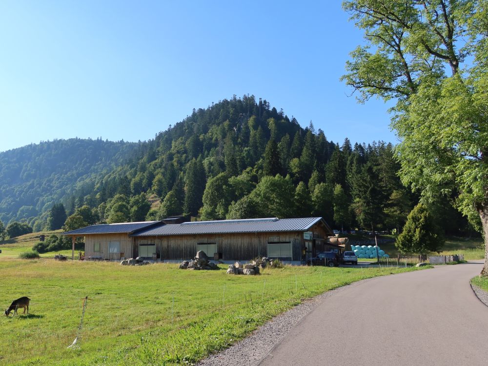 Ziegenhof