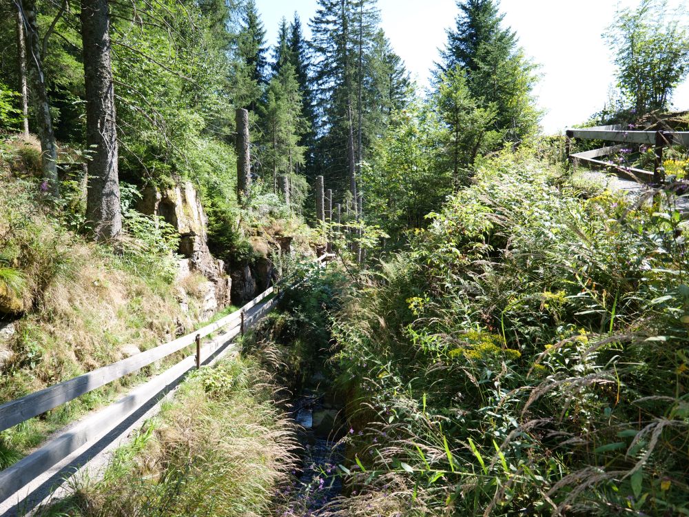 Steg bei den Wasserfällen