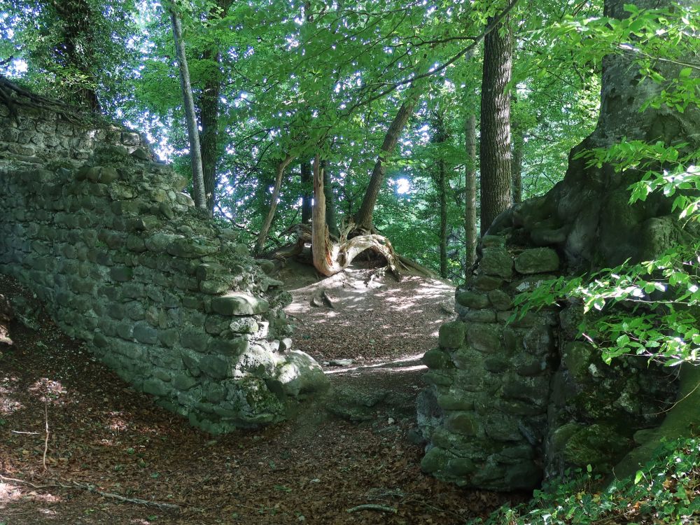 Ruine Heuberg
