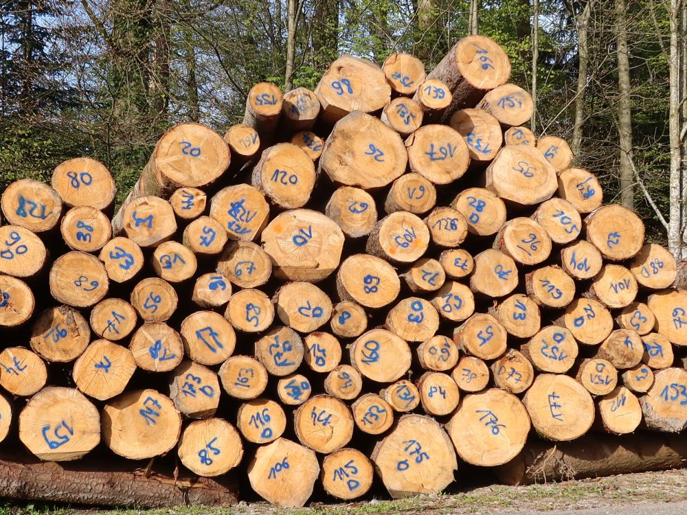 nummeriertes Holz