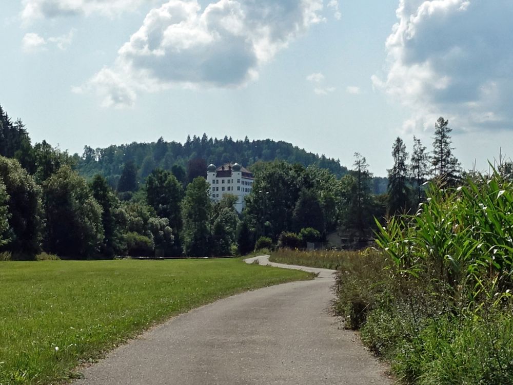 Schloss Mühlheim
