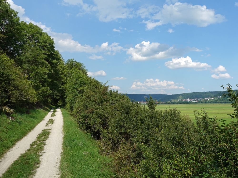 Blick Richtung Mühlheim