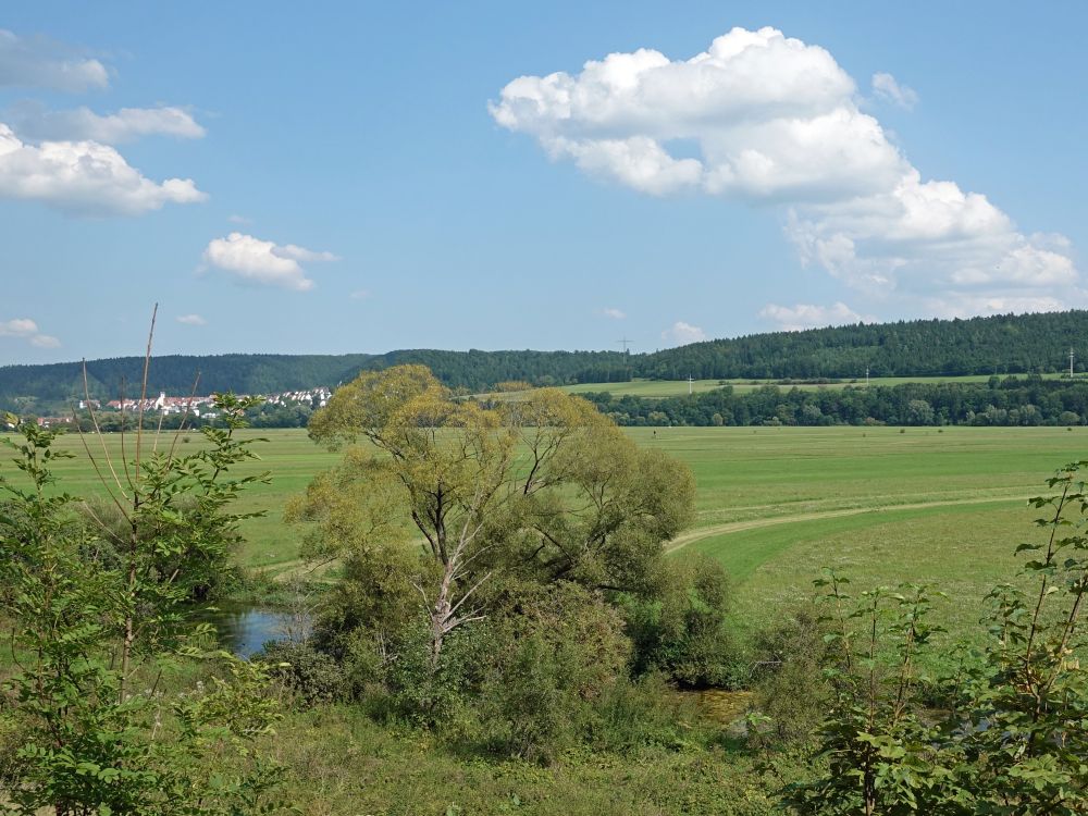 Kesselbach und Mühlheim