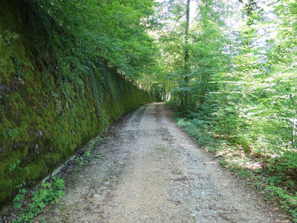 Weg an der Rüsshalde