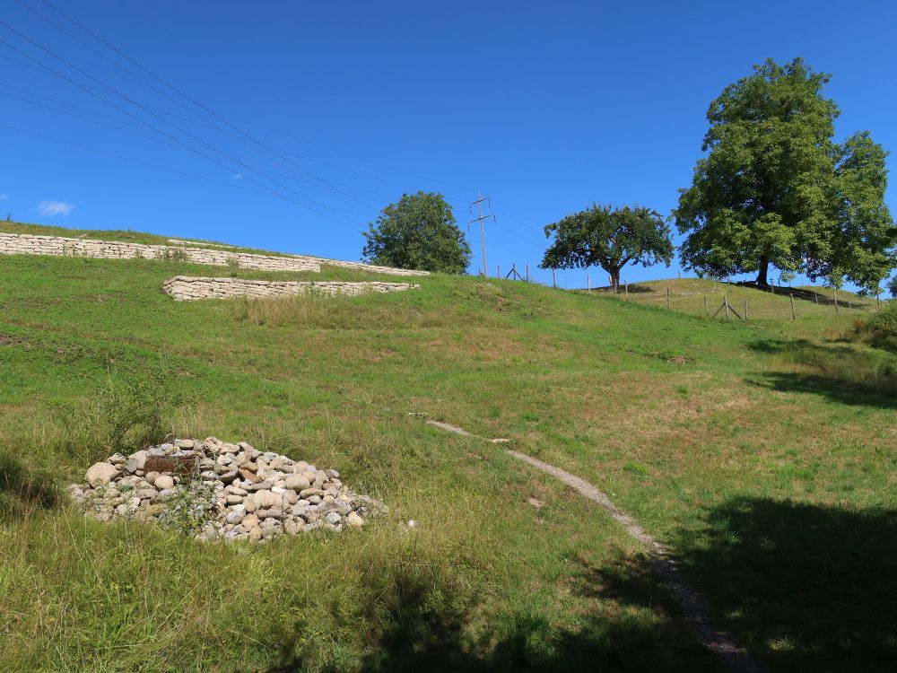 Natursteinmauern