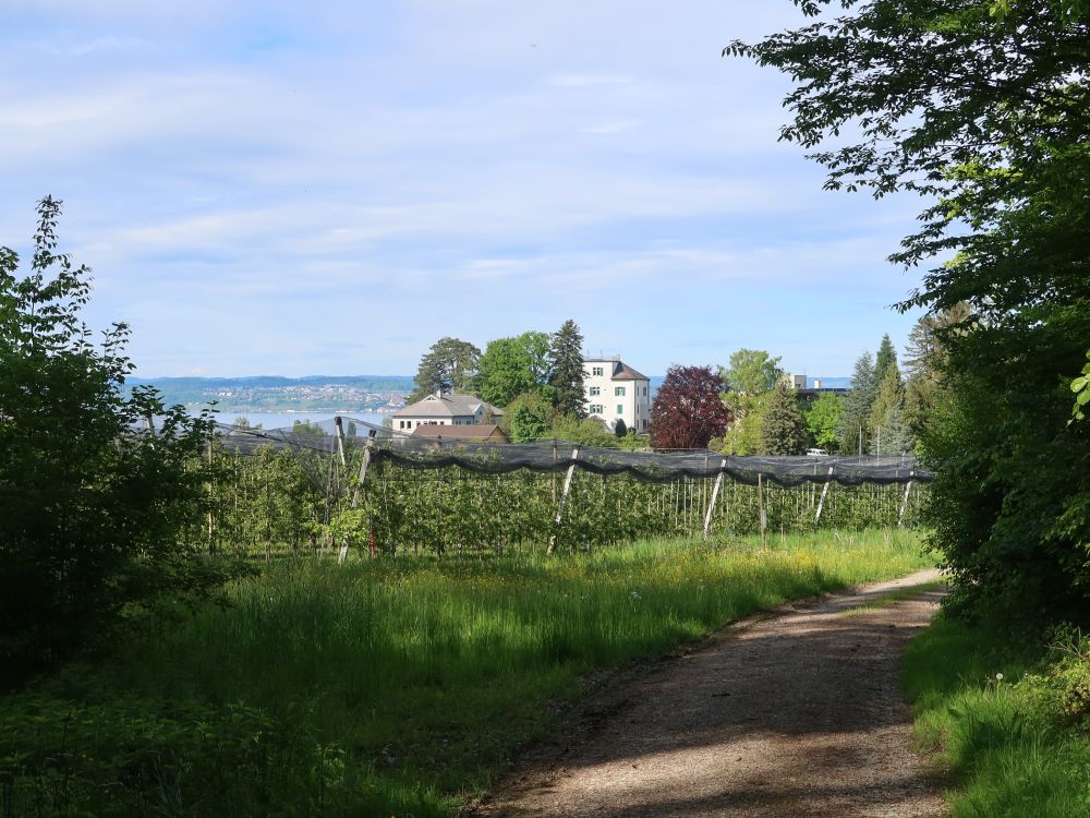 Blick Richtung Hinterdorf