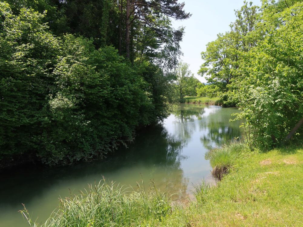 Teich unterhalb Breitholz