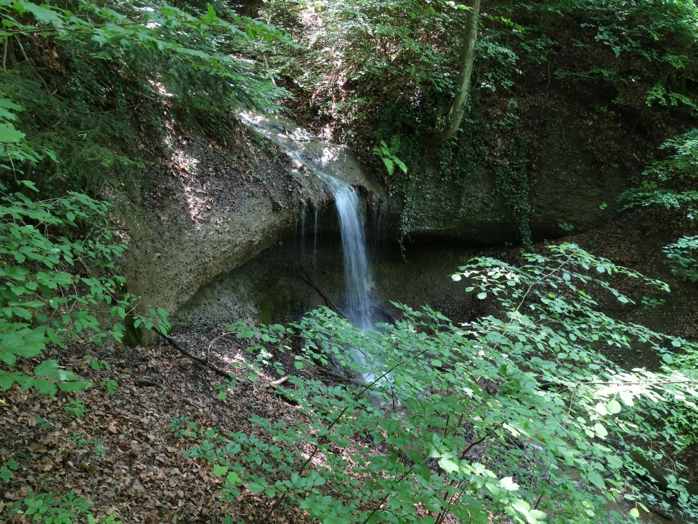 Wasserfall im Bachtöbeli