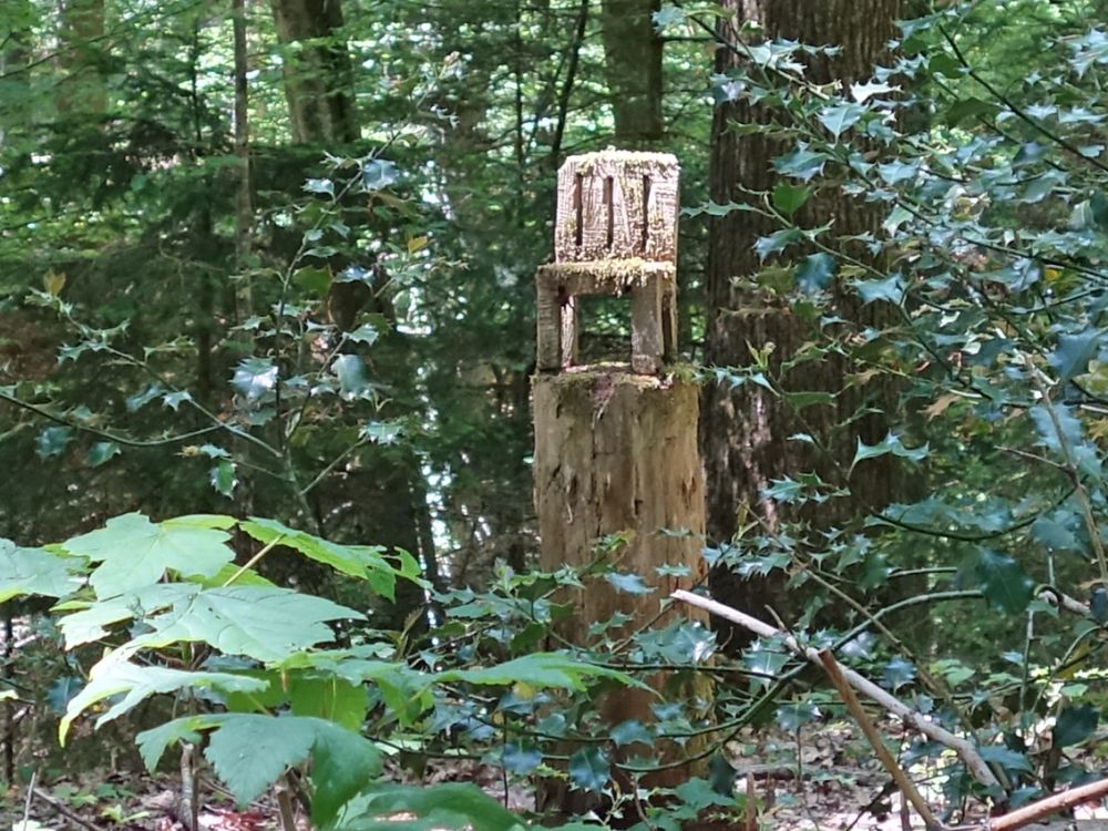 Stuhl auf Baumstumpf