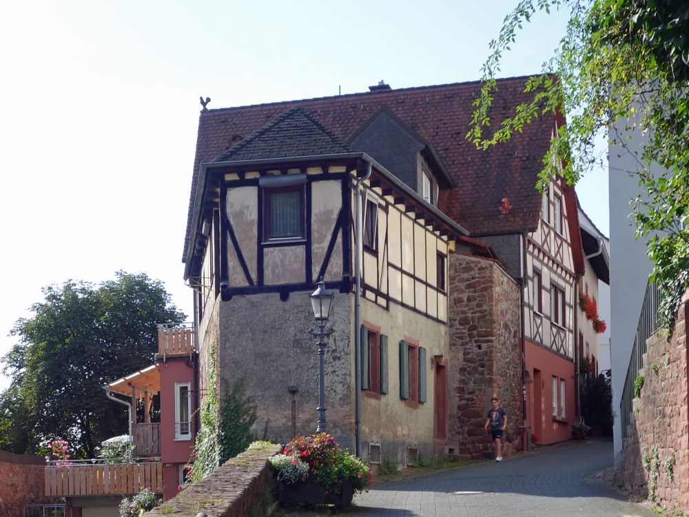 Neckarsteinach