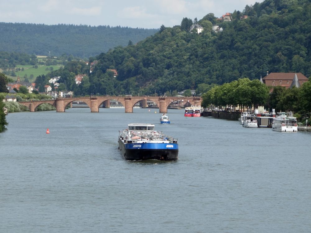 Neckar und Alte Brücke
