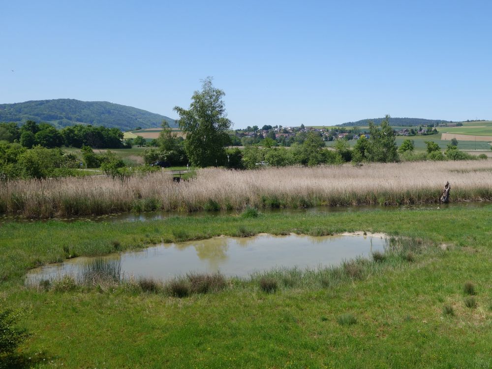 Neeracherried
