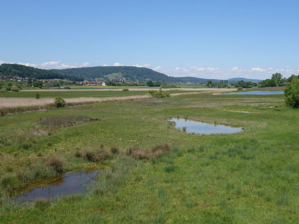 Blick Richtung Stadlerberg