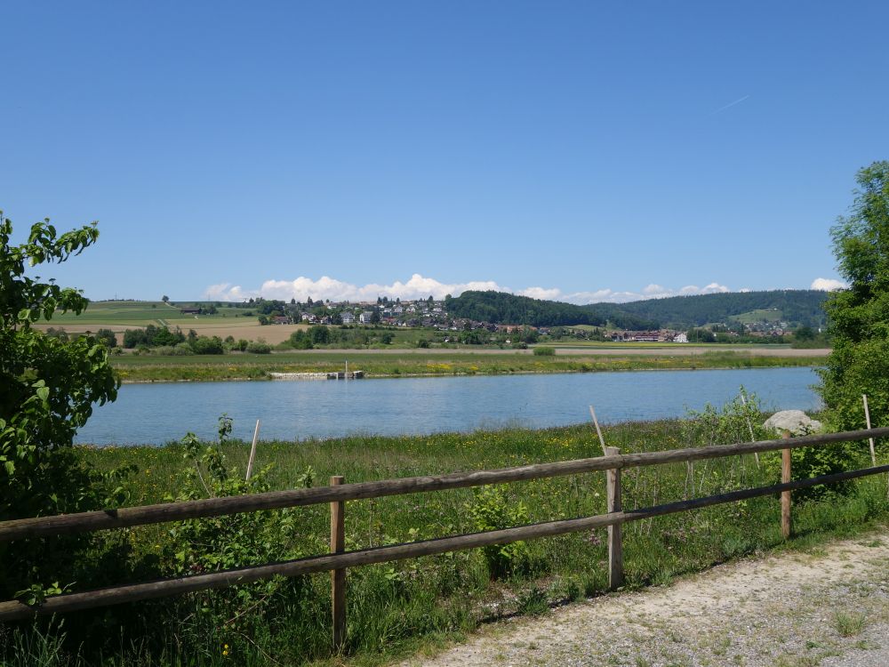 Neeracherried