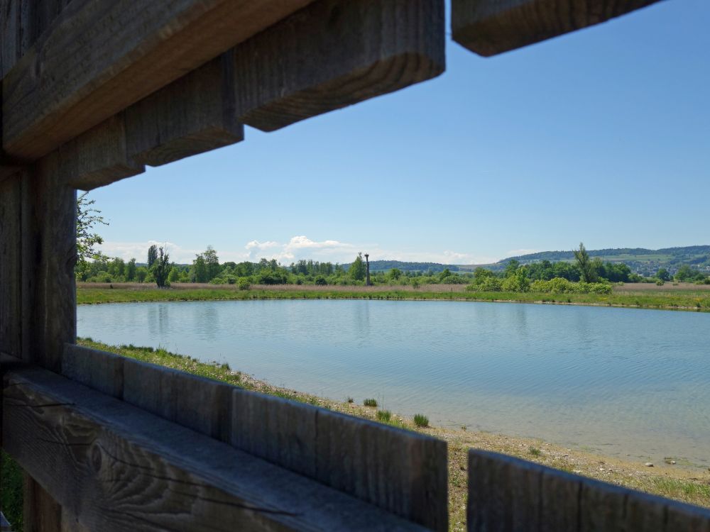 Teich im Neeracherried