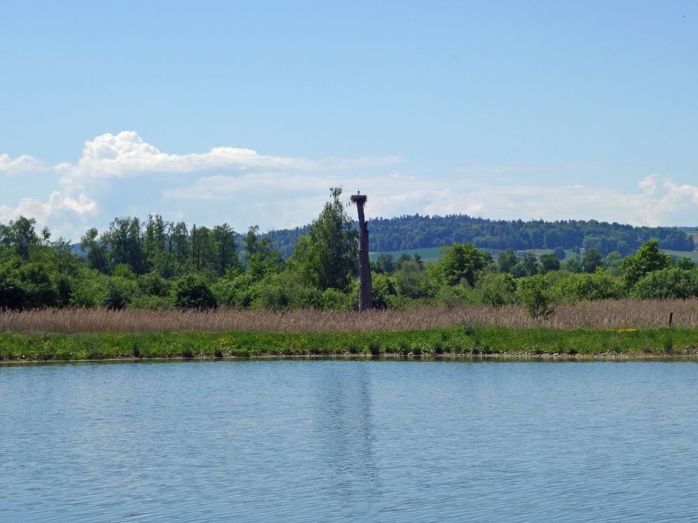 Storchennest