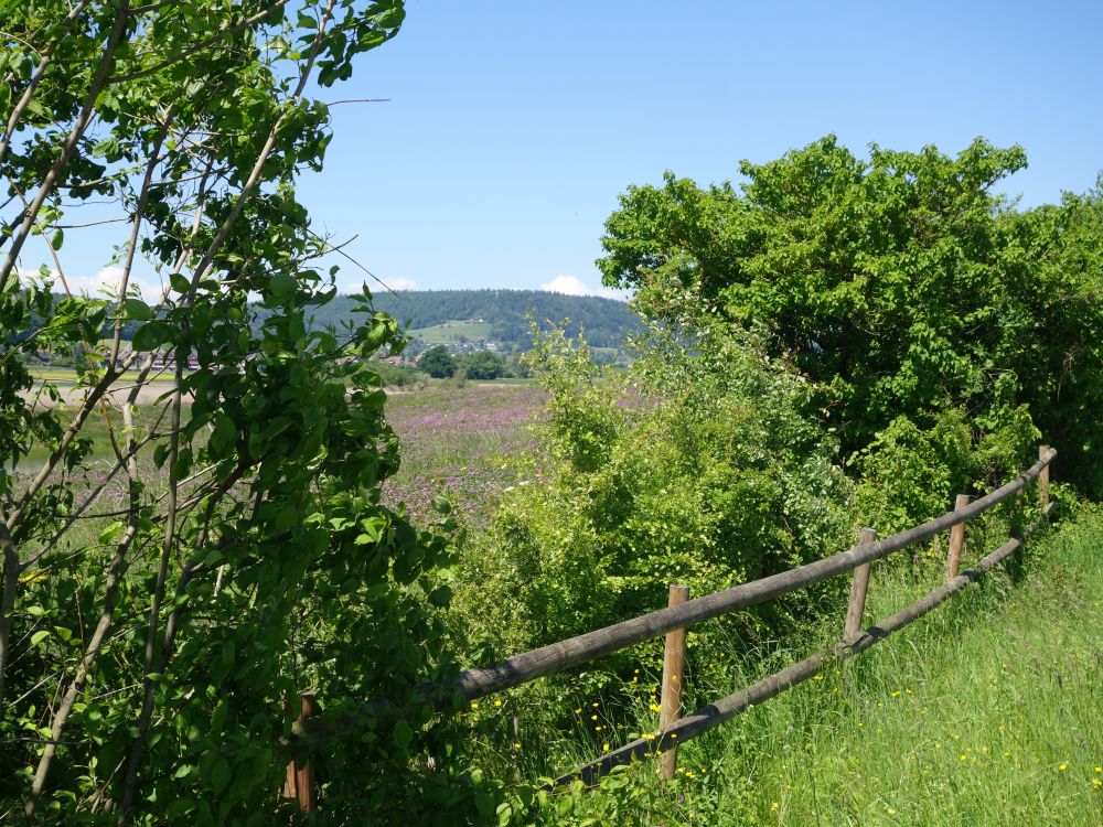 Blick Richtung Stadlerberg