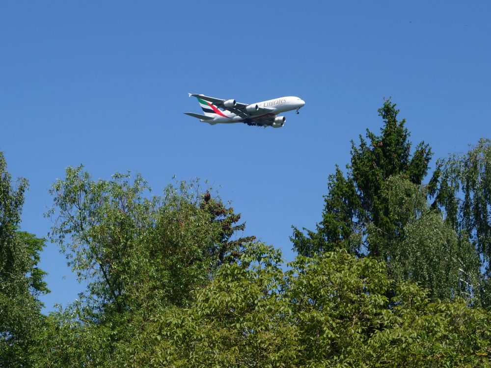 Flugzeug