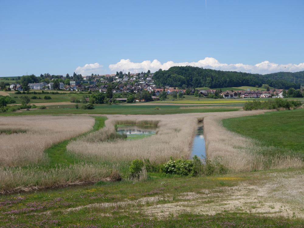 Blick Richtung Neerach