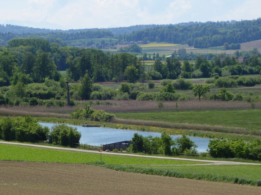 Teich im Neeracherried