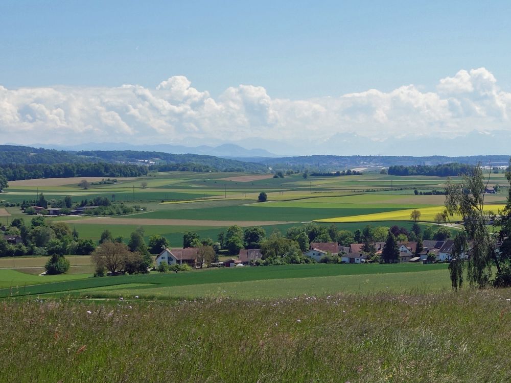 Alpen im Dunst