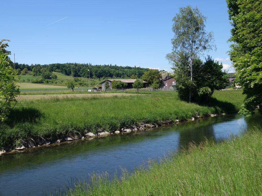 Glatt