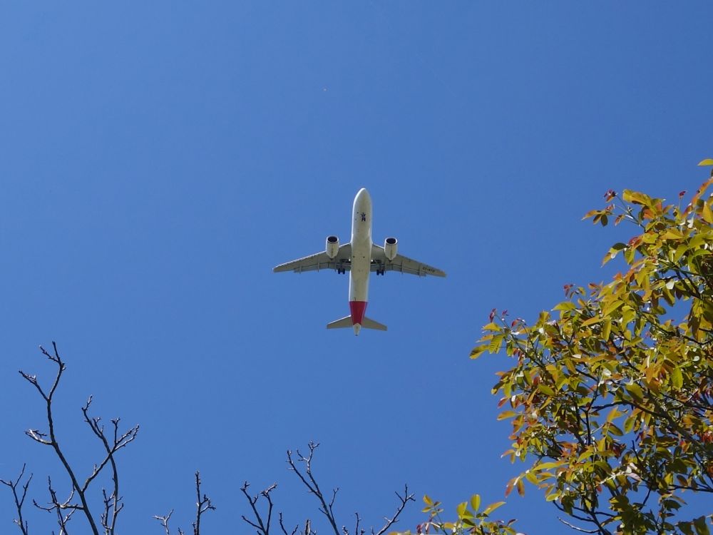 Flugzeug