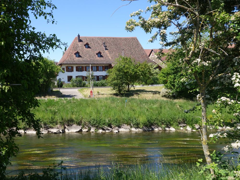 Glatt bei Oberhöri