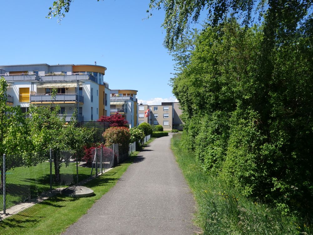 Uferweg in Niederglatt