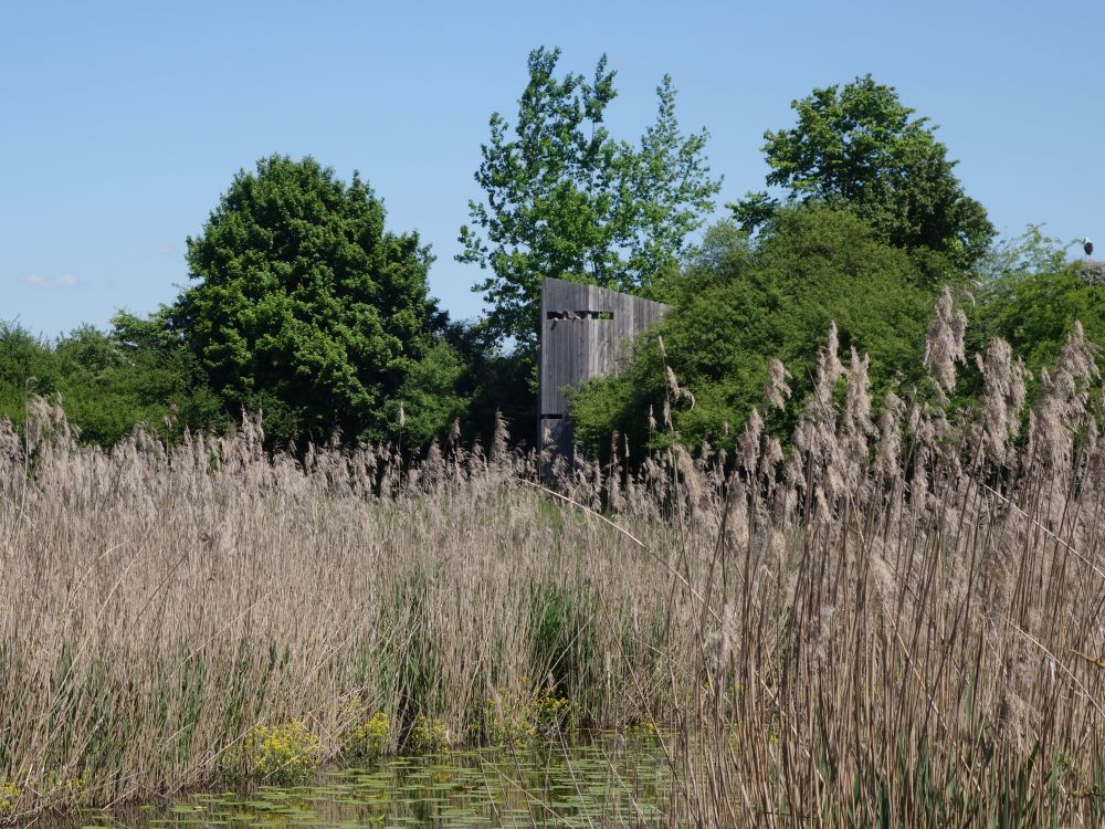 Beobachtungsturm  am Teich