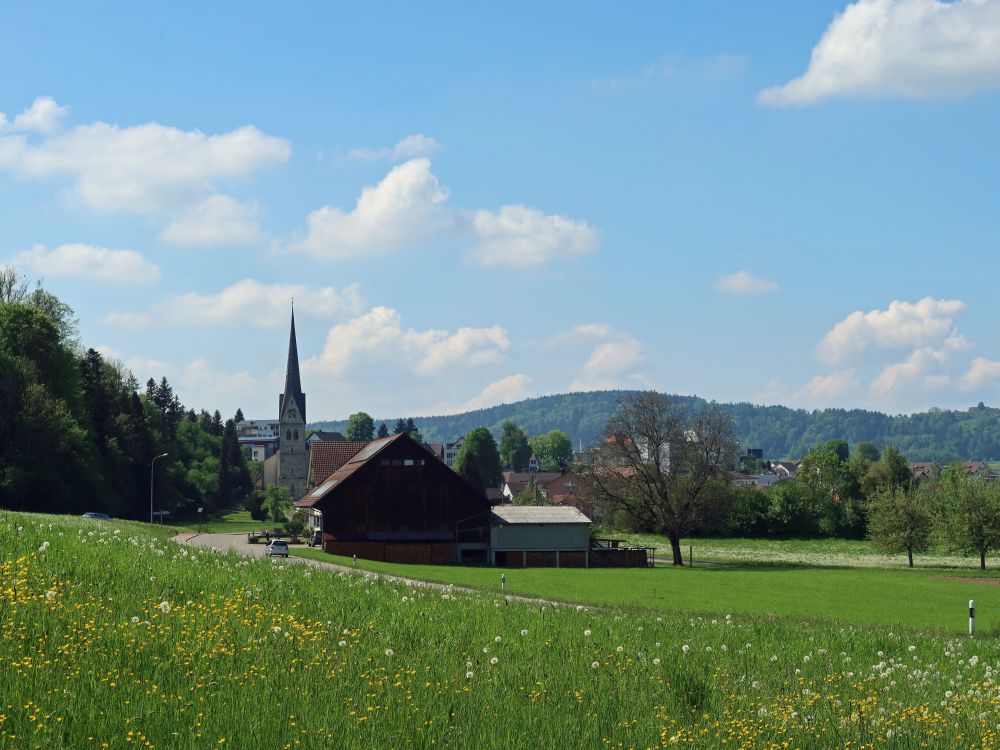 Kirche von Henau