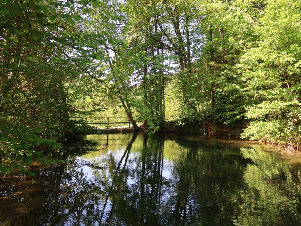 Teich bei Bassersdorf