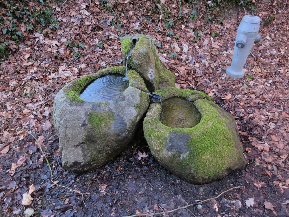 Brunnen bei Schloss Steinegg