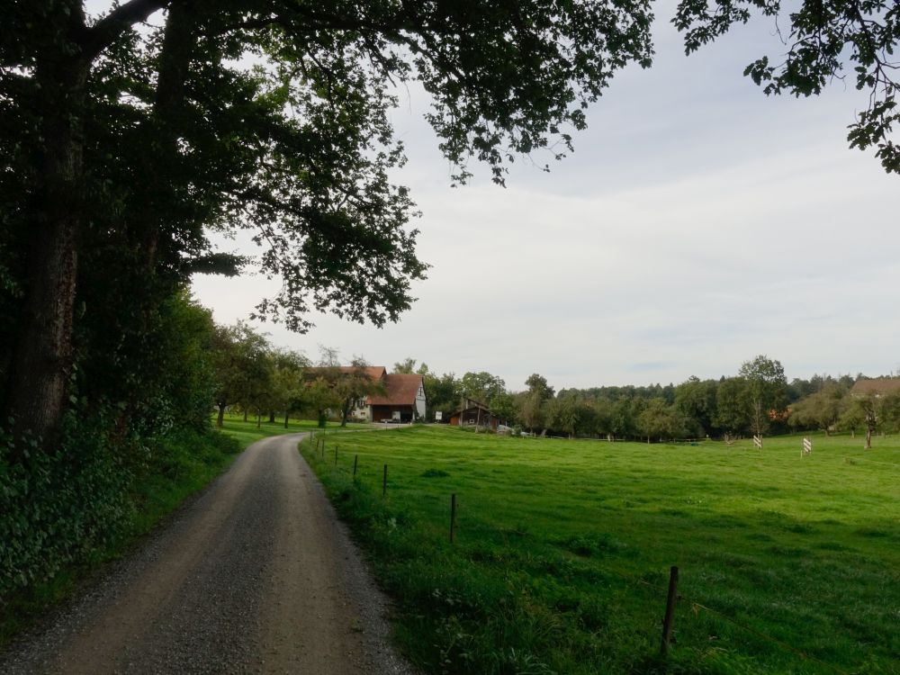 Bauernhof bei Wilen